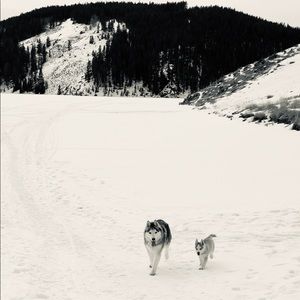 Meet your Posher, Bethany